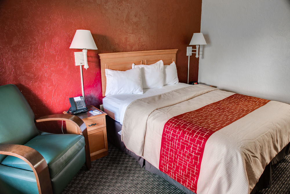 Red Roof Inn Tampa Bay - Сент-Питерсберг Экстерьер фото